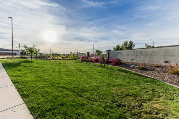 Hazelwood Covered green space